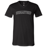 Susmaryosep Arch Unisex Jersey V-Neck T-Shirt